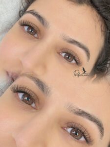 IMG_8381